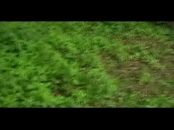 Gay Công Khai Hardcore - Thổi Công Việc Trong Xe Hơi